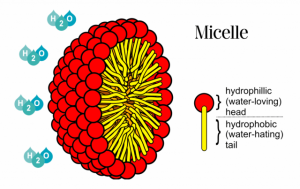 micelle